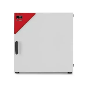 Сушильный шкаф BINDER FED 240 (259 л, 300 °C)