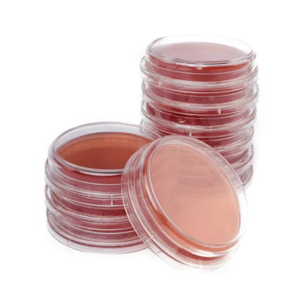 Контактные чашки Salmonella — изображение 2