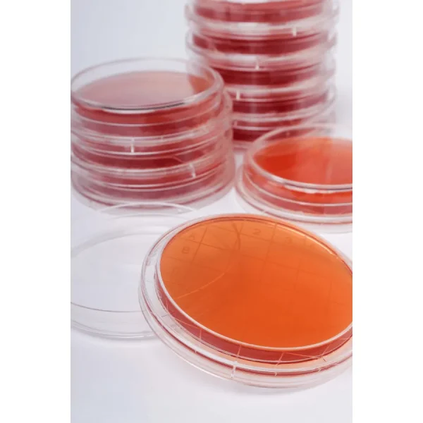 Контактные чашки Salmonella — изображение 4